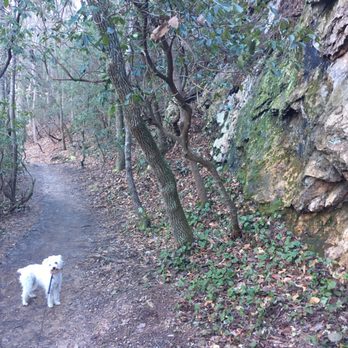 Occoneechee Mountain State Natural Area - Chloe - Hiking Near Me - Hillsborough, North Carolina Occoneechee Mountain State Natural Area - Chloe - Hiking Near Me - Hillsborough, North Carolina