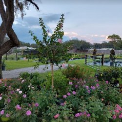 Great selection of flowers, trees, and plants