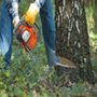 Photo of Langford Tree Service