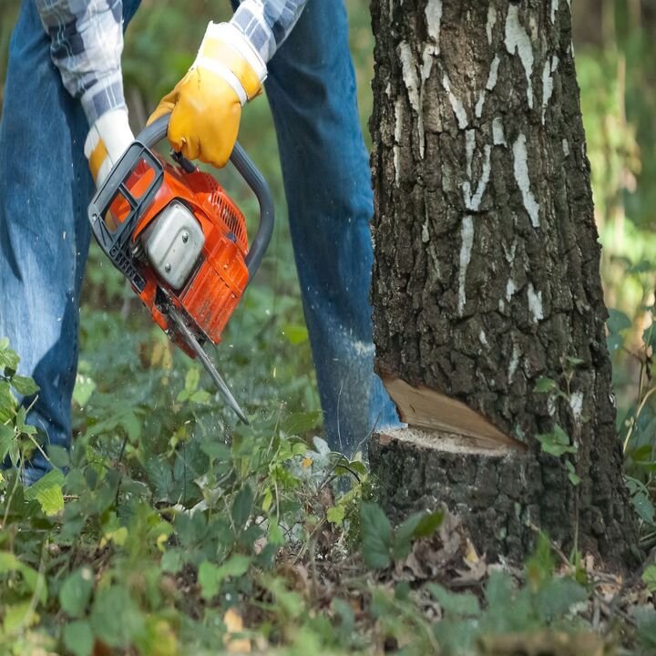 Langford Tree Service - tree service in Des Moines, IA