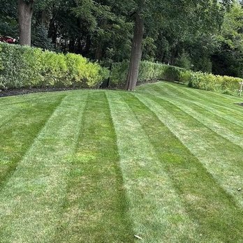 Lawn Care Essentials - Lawn Services Near Me - North Andover, Massachusetts Lawn Care Essentials - Lawn Services Near Me - North Andover, Massachusetts
