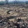 Photo of Waikoloa Petroglyph Field