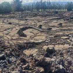 Waikoloa Petroglyph Field