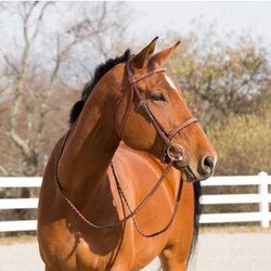 Equestrian Fashion Outfitters