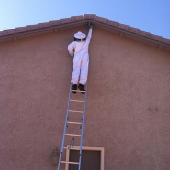 Horn Pest Management - Bee work - Pest Control Near Me - Tucson, Arizona