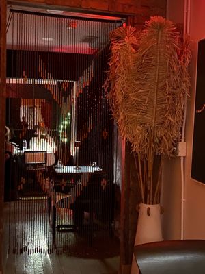 Amazonia by null