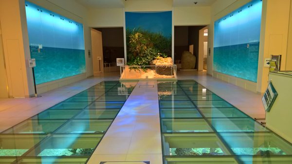 Okinawa Prefectural Museum and Art Museum (Okimyu) by null