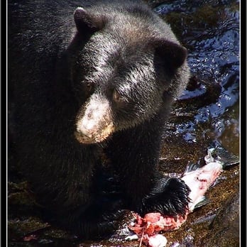Alaska Waters Inc. - Lunch - Boat Charters Near Me - Wrangell, Alaska Alaska Waters Inc. - Lunch - Boat Charters Near Me - Wrangell, Alaska