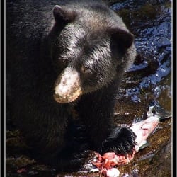 Alaska Waters Inc. - Lunch