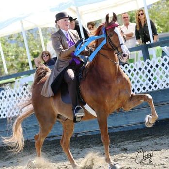 Monarch Stables - Horseback Riding Near Me