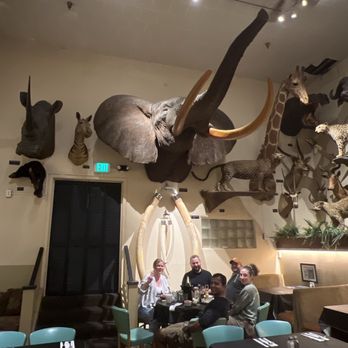 Foster's Bighorn - Let's address the elephant in the room. - American Near Me - Rio Vista, California Foster's Bighorn - Let's address the elephant in the room. - American Near Me - Rio Vista, California