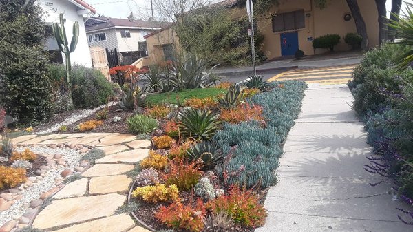 Landscape Design and Maintenance - Landscape Design and Maintenance Landscape Design and Maintenance - Landscape Design and Maintenance