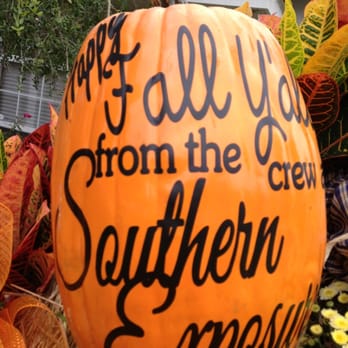 Southern Exposure - Hair Stylists Near Me - Lake City, Florida Southern Exposure - Hair Stylists Near Me - Lake City, Florida