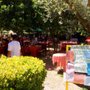 Photo of Il Giardino di Giulia e Fratelli