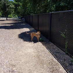 City of Bowie Dog Park - Hot, but it's open!