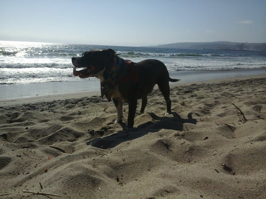 Playa Ensenada by null