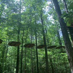 Go Ape Zipline & Adventure Park