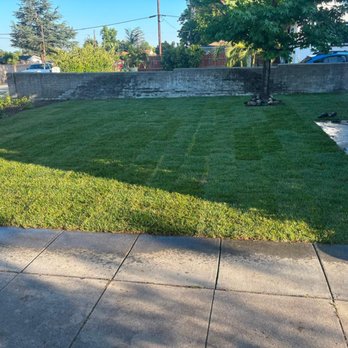 Gutierrez Tree Services - Tree Services Near Me - Federal Way, Washington Gutierrez Tree Services - Tree Services Near Me - Federal Way, Washington