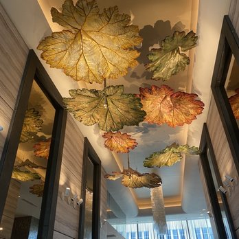 Kimpton Hotel Arras - Hotels Near Me - Asheville, North Carolina Kimpton Hotel Arras - Hotels Near Me - Asheville, North Carolina