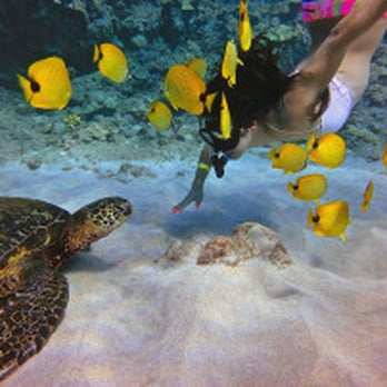 Quicksilver Charters - Snorkeling Near Me - Wailuku, Hawaii