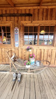 Denali Grizzly Bear Resort by null