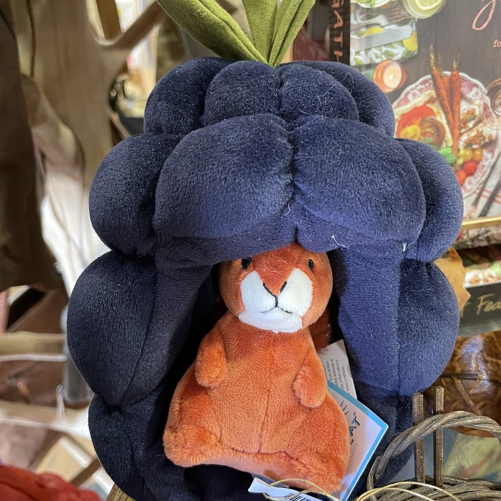 Doodlet's - Toy Stores Near Me - Santa Fe, New Mexico Doodlet's - Toy Stores Near Me - Santa Fe, New Mexico