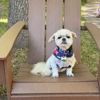 Boeger Winery - Emmett getting ready for live music - Wineries Near Me - Placerville, California