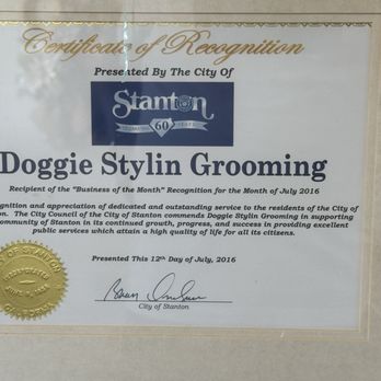 Doggie Stylin Grooming - They been recognize it by the city of Stanton, the best grooming place in Orange County - Pet Groomers Near Me - Stanton, California Doggie Stylin Grooming - They been recognize it by the city of Stanton, the best grooming place in Orange County - Pet Groomers Near Me - Stanton, California