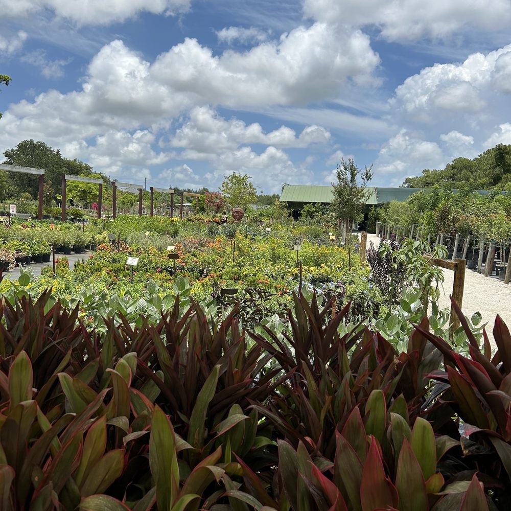 TOP 10 BEST Tree Nursery in Naples, FL - Updated 2026 - Yelp, image size:1000x1000