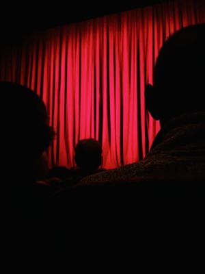 The Joyce Theater by null