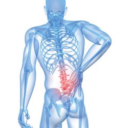 James Eckman - Eckman Chiropractic Clinic
