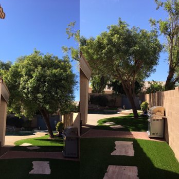 Arbor Care Tree Service - Before & After - Tree Services Near Me Arbor Care Tree Service - Before & After - Tree Services Near Me