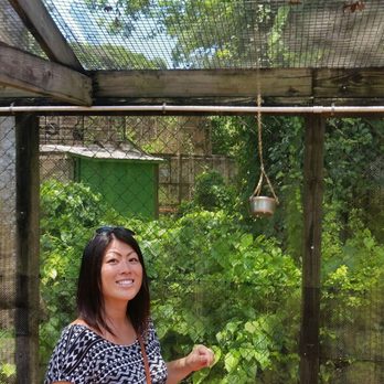 Monkey Jungle - Feeding bowls u put food in n monkeys pull up n eat it - Zoos Near Me - Miami, Florida Monkey Jungle - Feeding bowls u put food in n monkeys pull up n eat it - Zoos Near Me - Miami, Florida