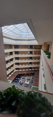 Holiday Inn Singapore Orchard City Centre by IHG by null