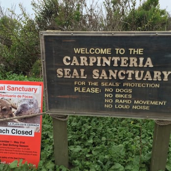 Carpinteria Seal Sanctuary - Parks Near Me - Carpinteria, California Carpinteria Seal Sanctuary - Parks Near Me - Carpinteria, California