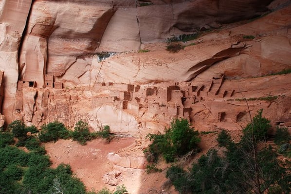 Navajo National Monument by null