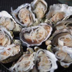 Pacific Seafood Distribution - Yummy Oysters on this 4th of July *7/4/24