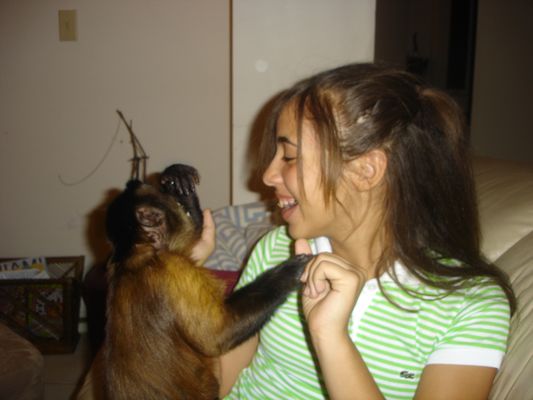 CAPUCHIN MONKEYS WORLD - Updated January 2025 - Charleston, South