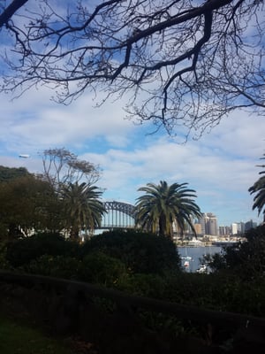 Wendy Whiteley's Secret Garden by null