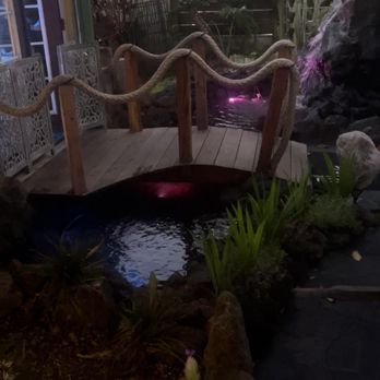 Waikiki Aquarium Service - Aquarium Services Near Me