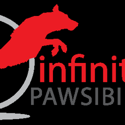 Infinite Pawsibilities
