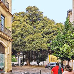 Plaza del Arenal - Gleich ums Eck (10/2025)