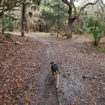 Red Bug Slough - Shaded trails offer relief on hot days . . . - Hiking Near Me - Sarasota, Florida Red Bug Slough - Shaded trails offer relief on hot days . . . - Hiking Near Me - Sarasota, Florida