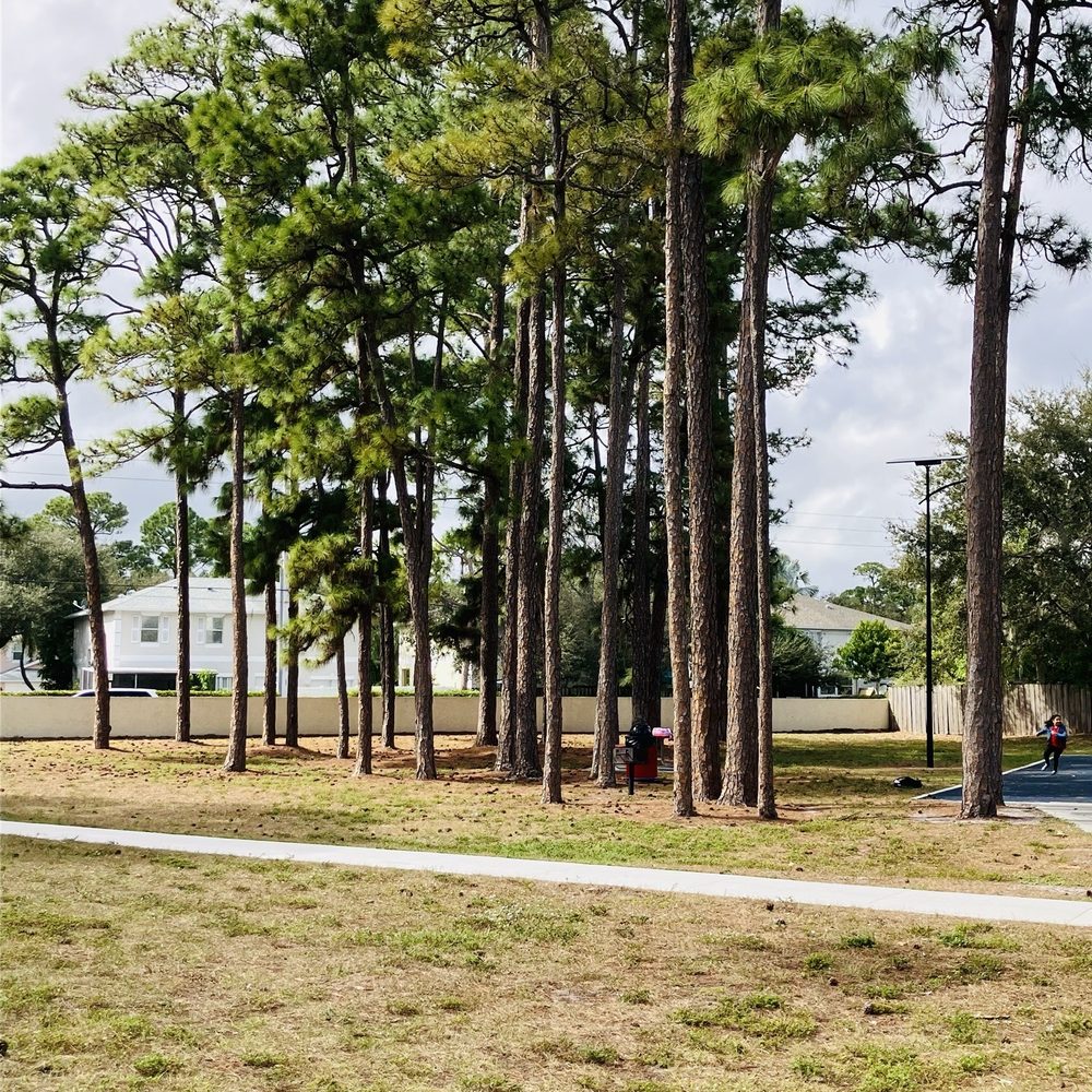 Gladiator Park - Trees - Parks Near Me - Greenacres, Florida