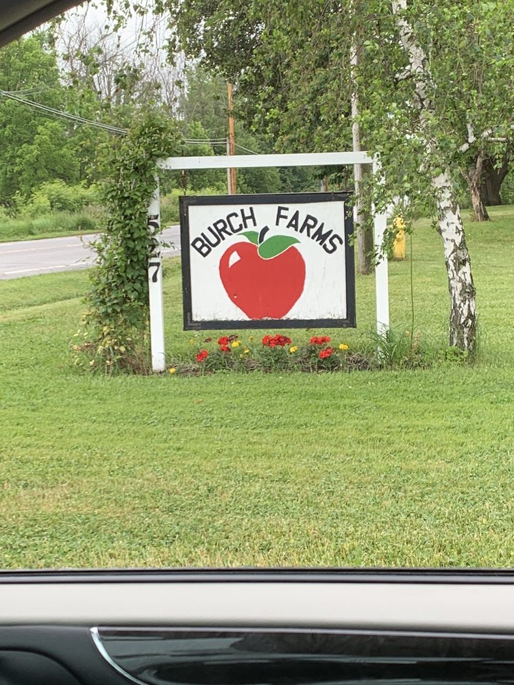 BURCH FARMS Updated August 2024 527 North Ave, Hilton, New York