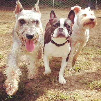 All 4 Paws - Pet Groomers Near Me - Newark, Delaware All 4 Paws - Pet Groomers Near Me - Newark, Delaware