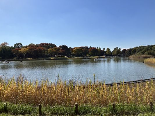 Showa Kinen Park by null