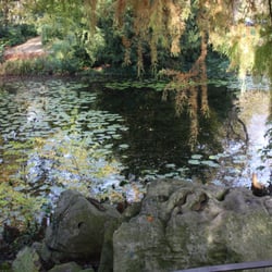 Maschpark - Maschpark, Hannover - Herbst 2014 -