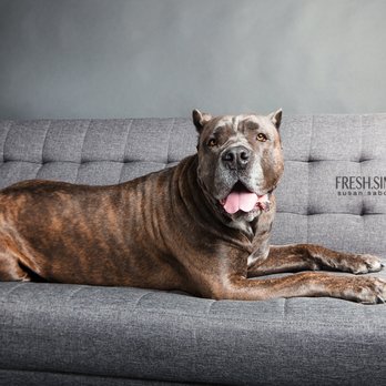Fresh Simple True - Session Photography Near Me