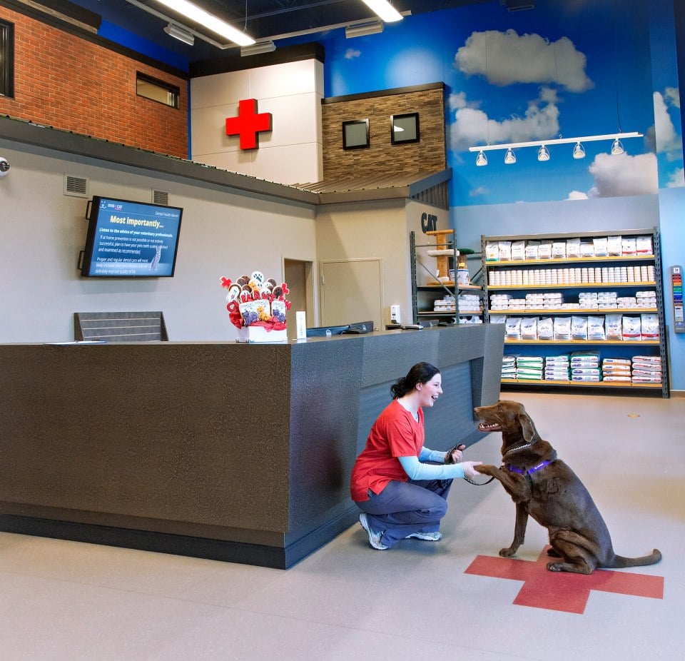 clearview dog and cat hospital red deer